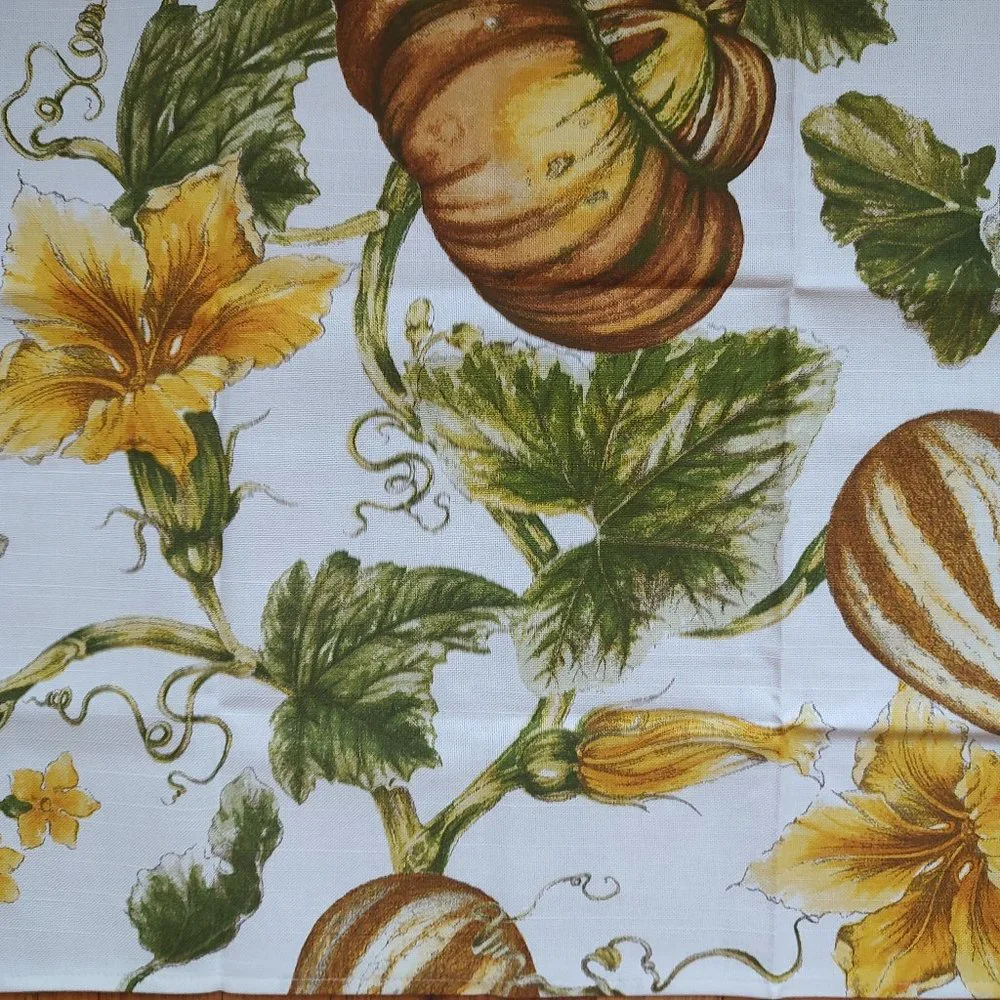 Williams Sonoma 2 Botanical Pumpkin and Gourd Print Towels Set Towel White Green